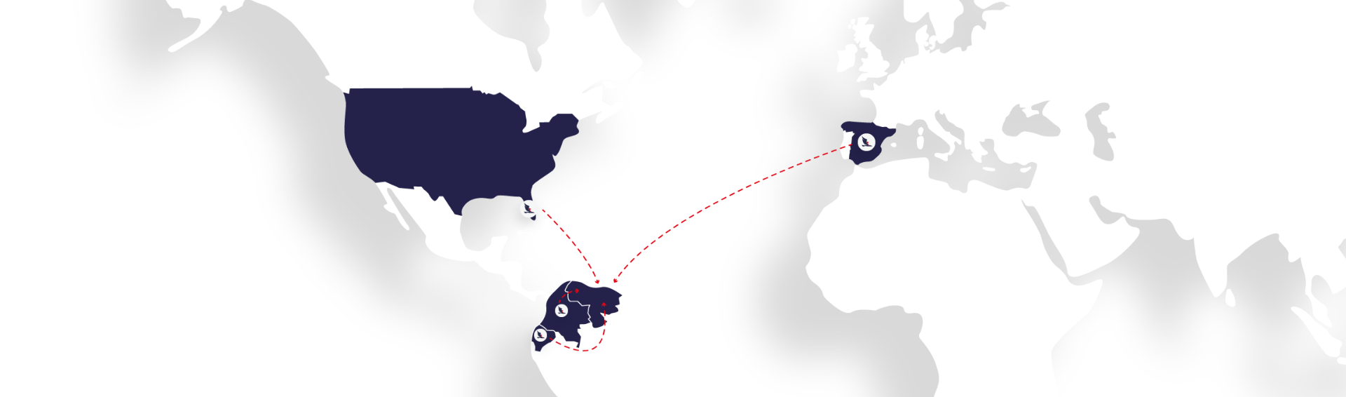 Servicios expresos